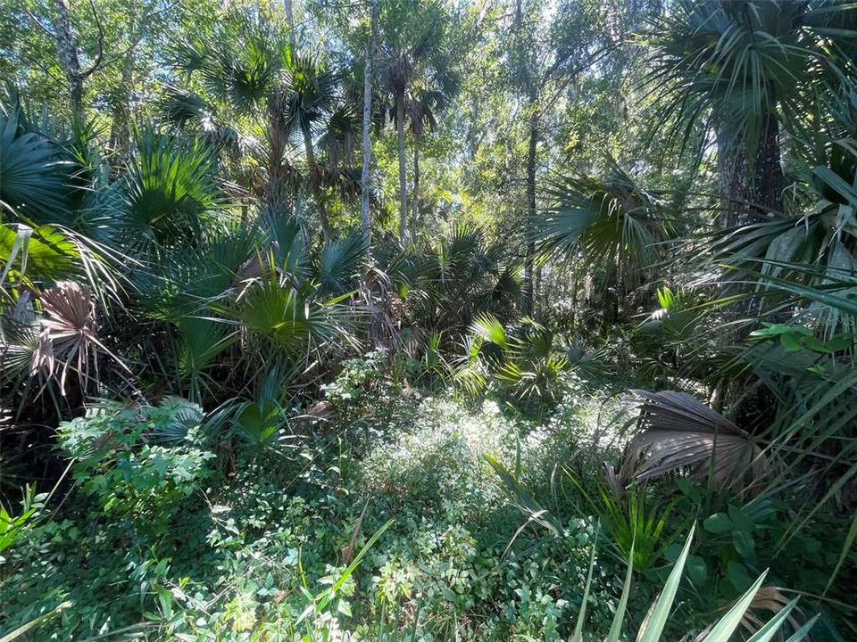 На продажу: $180,000 (2.10 acres)
