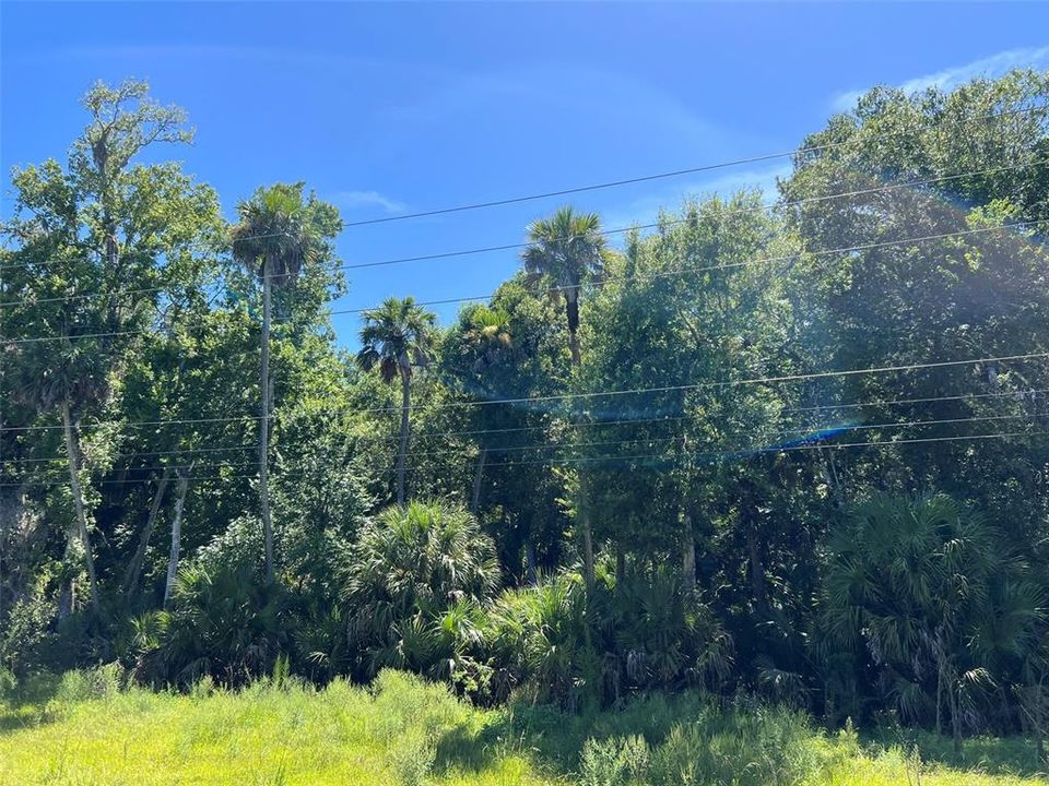 На продажу: $180,000 (2.10 acres)