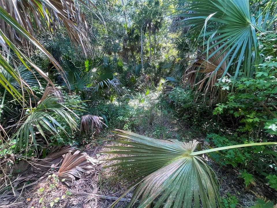 На продажу: $180,000 (2.10 acres)