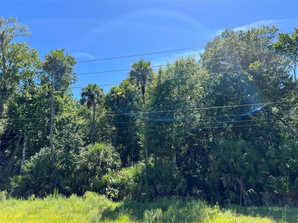 На продажу: $180,000 (2.10 acres)