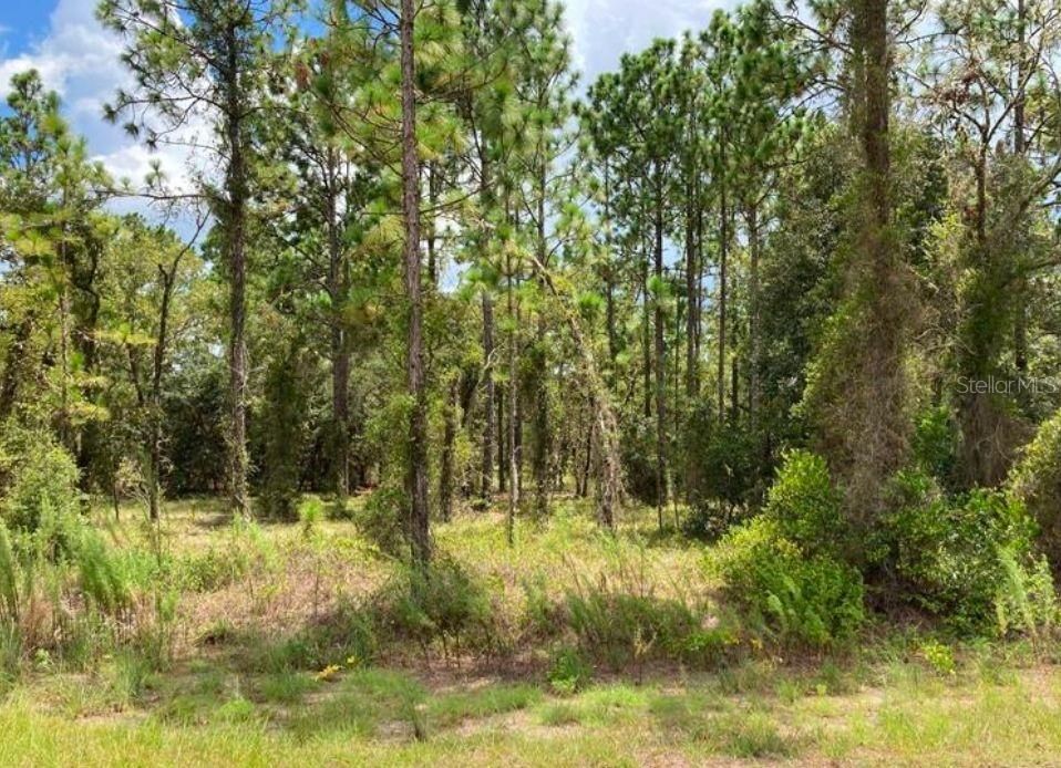 待售: $38,000 (0.99 acres)