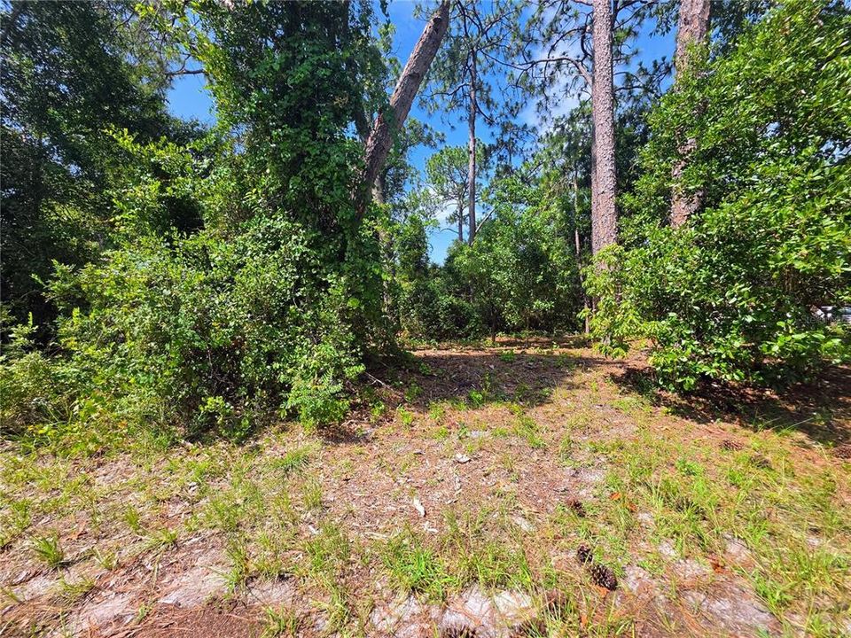 For Sale: $65,000 (0.26 acres)