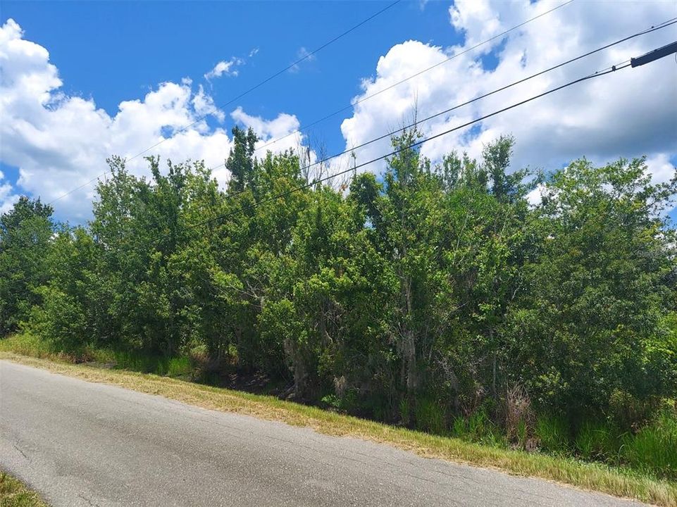 待售: $255,000 (9.47 acres)