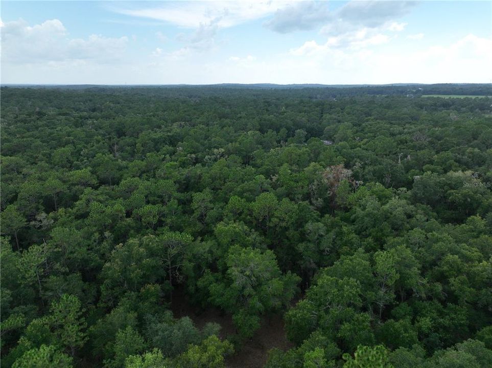 На продажу: $90,000 (2.33 acres)