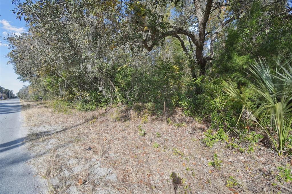 待售: $2,400,000 (80.00 acres)