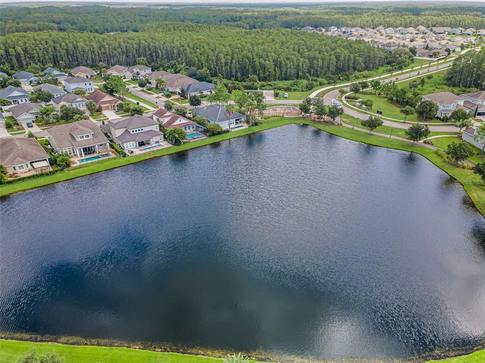 Под контрактом: $575,000 (3 спален, 2 ванн, 1901 Квадратных фут)