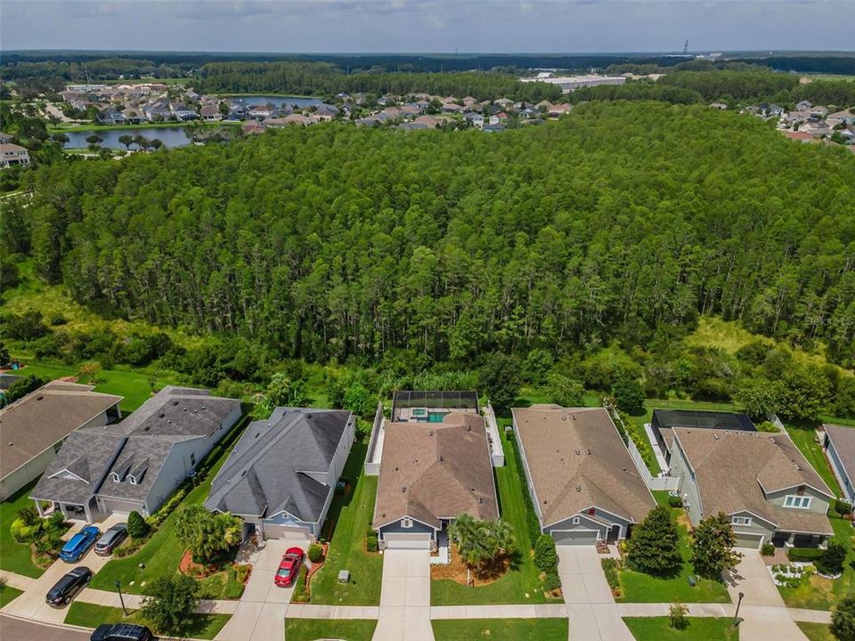 Под контрактом: $575,000 (3 спален, 2 ванн, 1901 Квадратных фут)