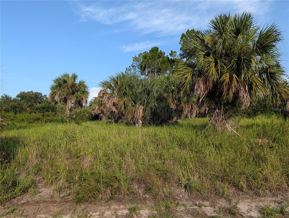 For Sale: $60,000 (0.23 acres)