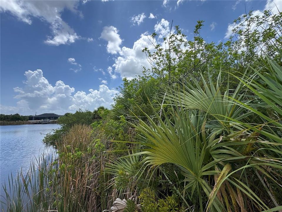 На продажу: $150,000 (0.23 acres)