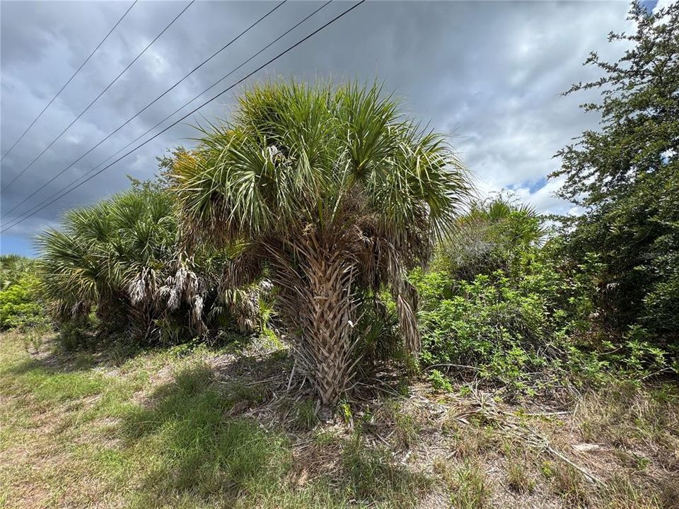 На продажу: $150,000 (0.23 acres)