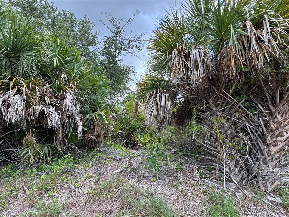 На продажу: $150,000 (0.23 acres)