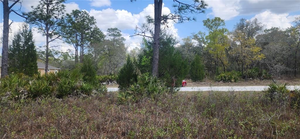 For Sale: $59,900 (1.20 acres)