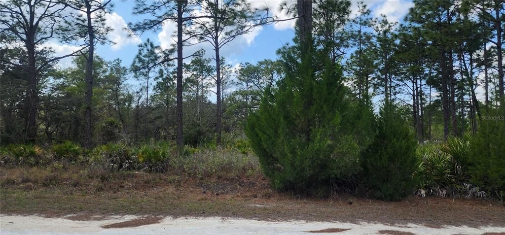 For Sale: $59,900 (1.20 acres)