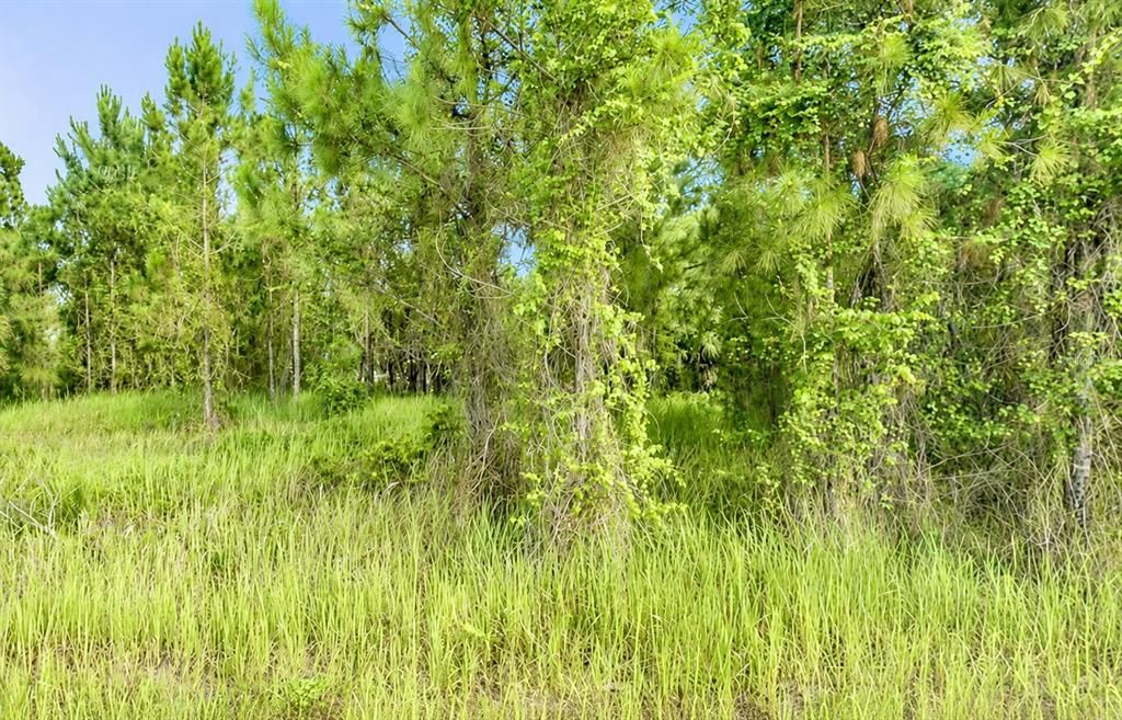 Active With Contract: $25,000 (0.23 acres)