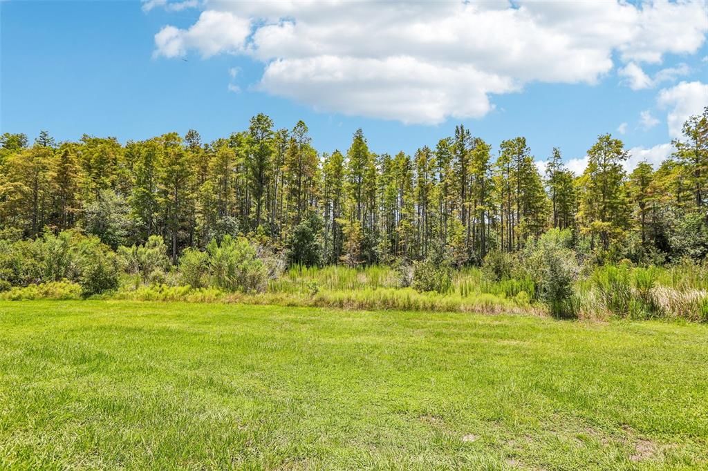 : $365,000 (3 спален, 2 ванн, 1801 Квадратных фут)