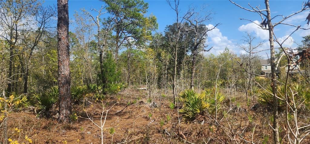 En Venta: $59,900 (1.20 acres)