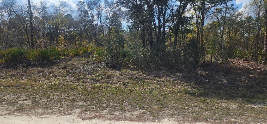 En Venta: $59,900 (1.20 acres)