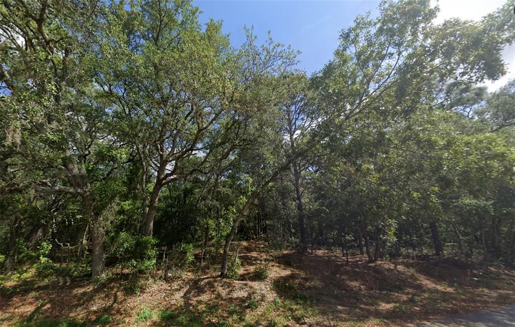 На продажу: $89,900 (1.05 acres)