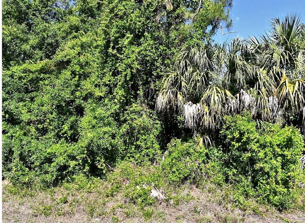 На продажу: $21,500 (0.28 acres)