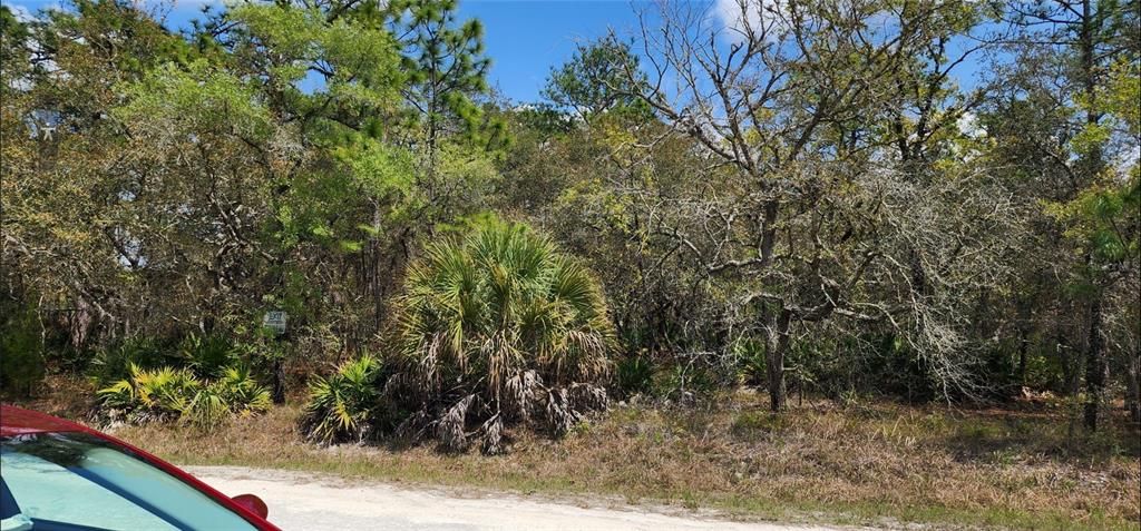 En Venta: $59,900 (1.20 acres)