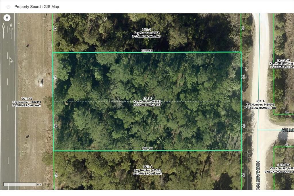 For Sale: $110,000 (1.17 acres)