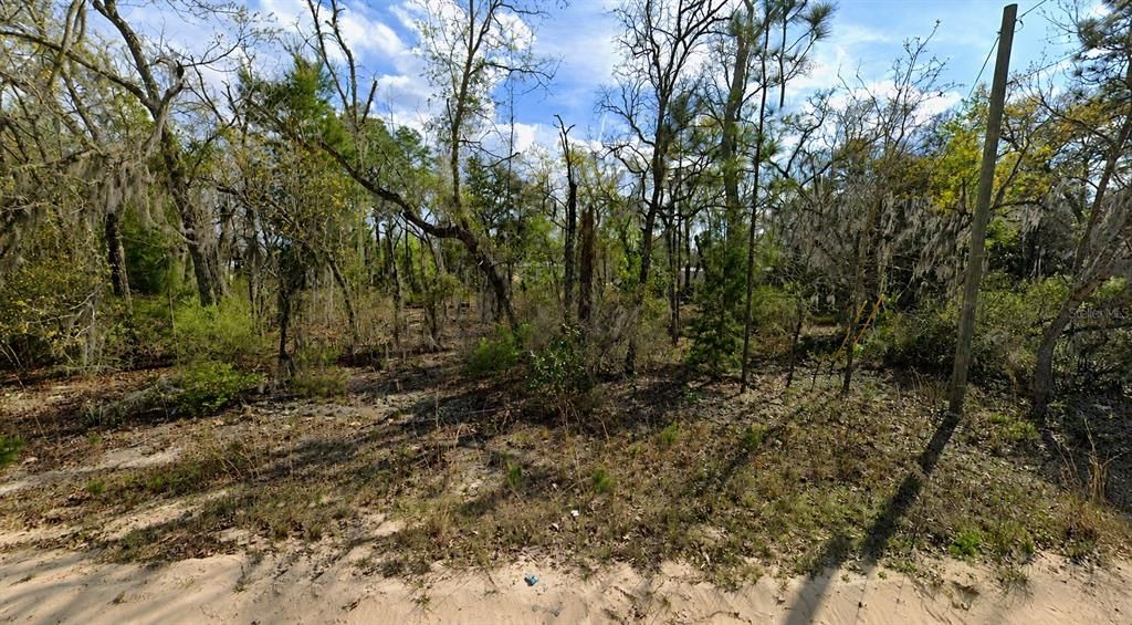 For Sale: $10,000 (0.24 acres)
