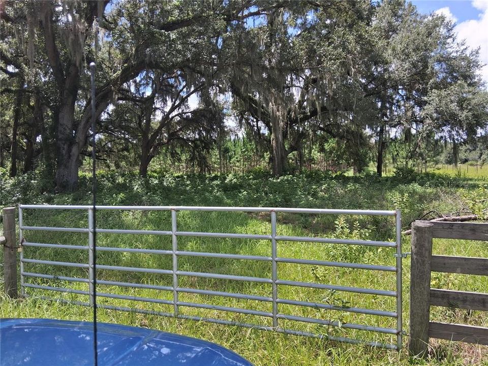 For Sale: $900,000 (29.88 acres)