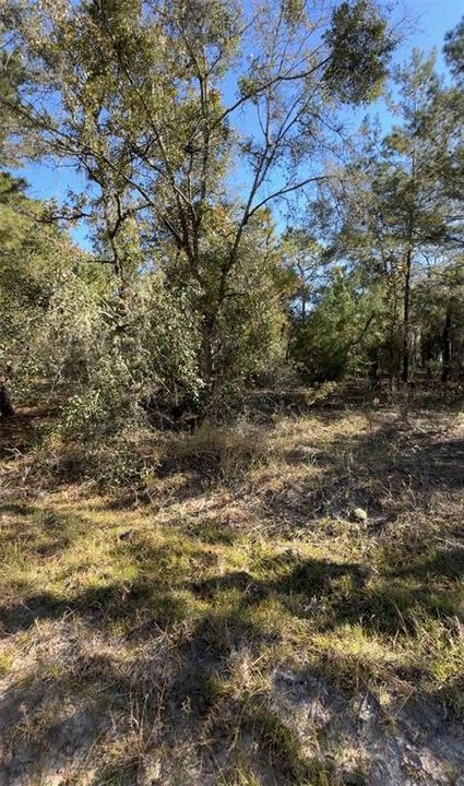 For Sale: $10,000 (0.23 acres)
