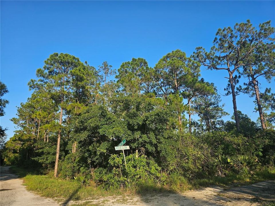 На продажу: $17,500 (0.27 acres)