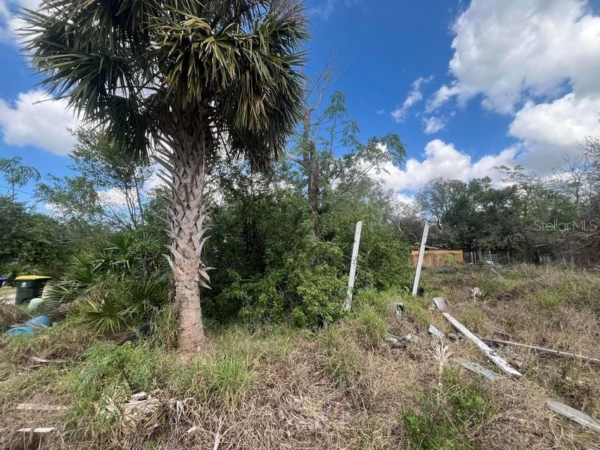 En Venta: $10,900 (0.12 acres)