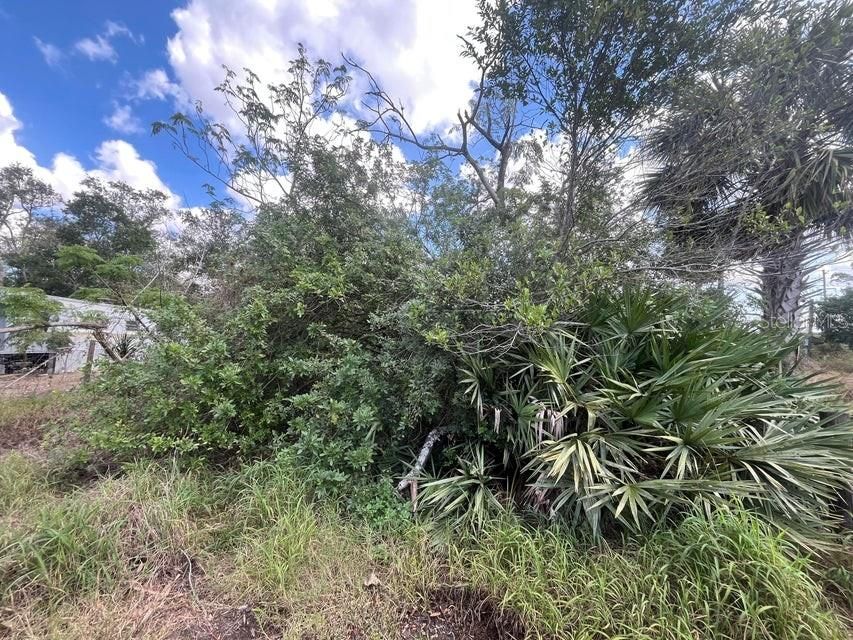 En Venta: $10,900 (0.12 acres)