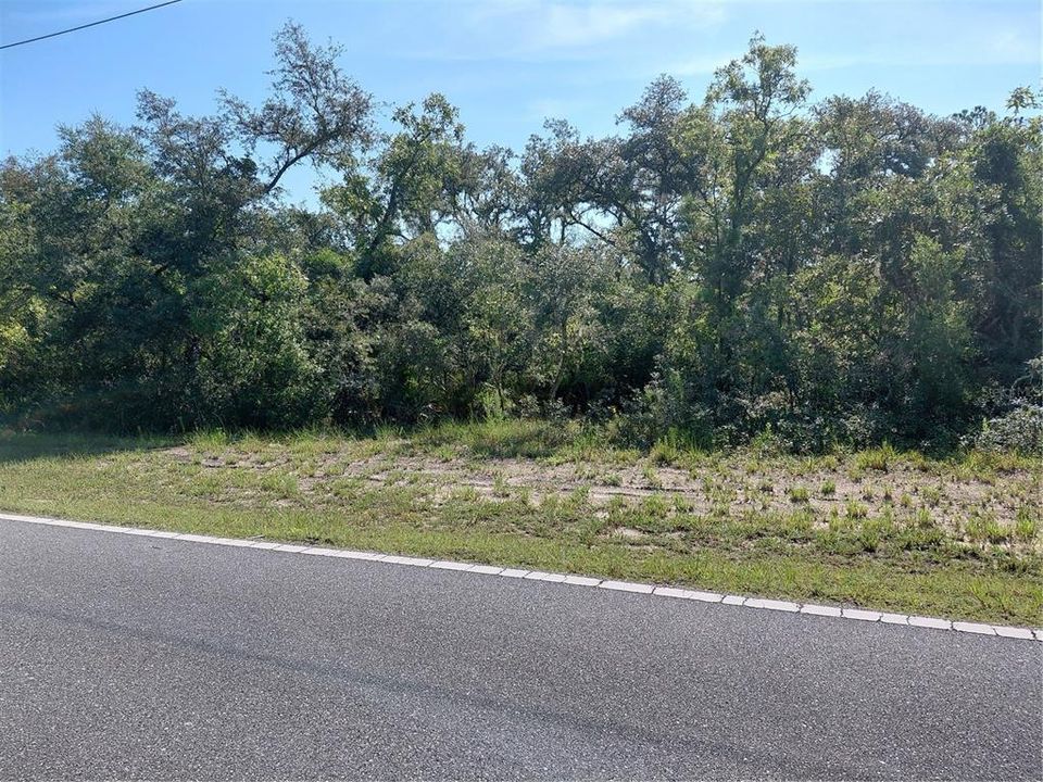 For Sale: $49,000 (1.16 acres)