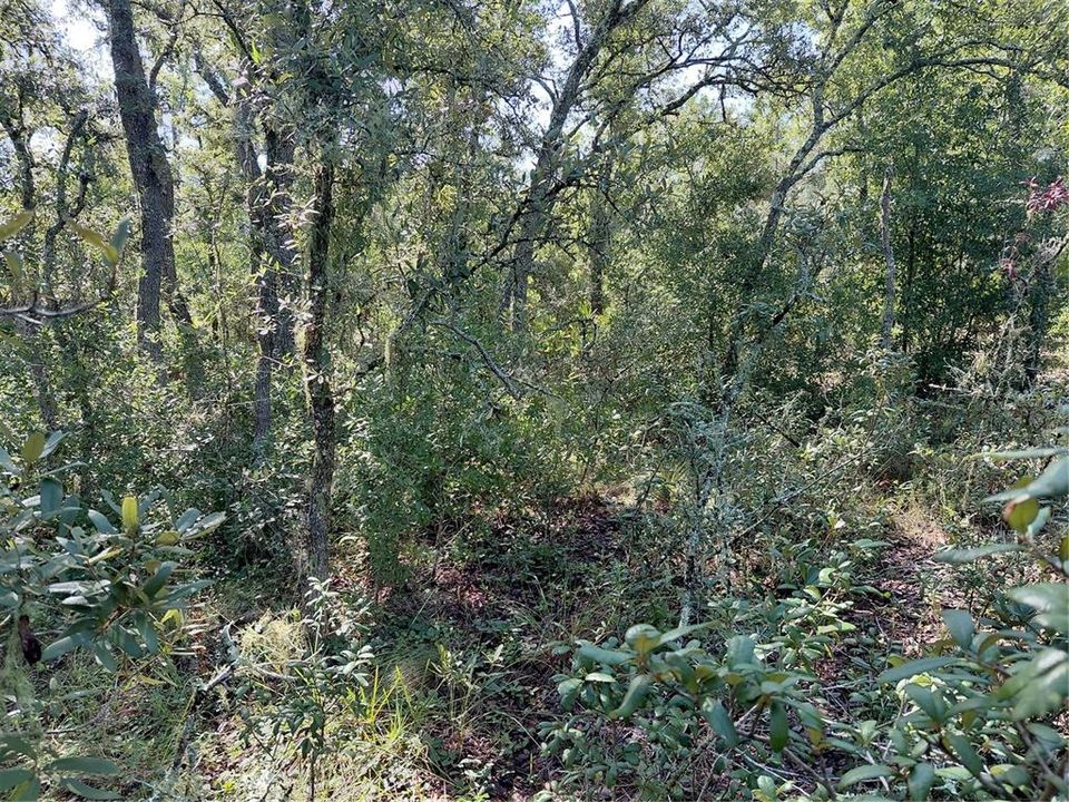 For Sale: $49,000 (1.16 acres)