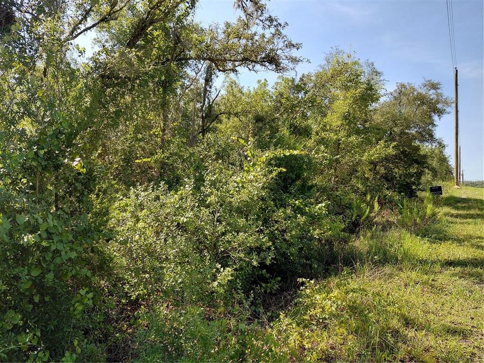 For Sale: $49,000 (1.16 acres)