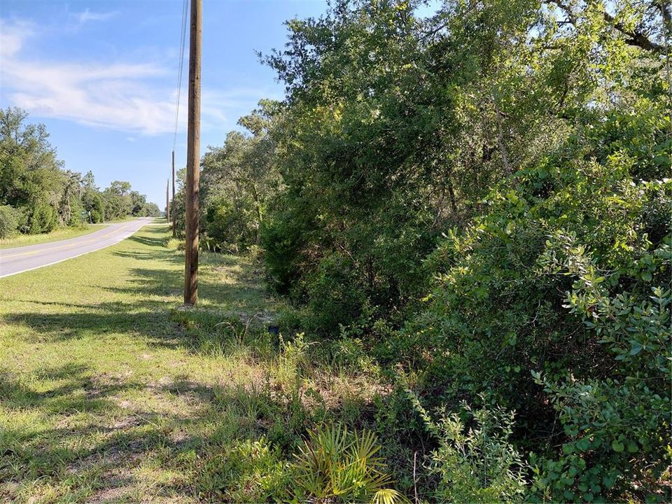 For Sale: $49,000 (1.16 acres)