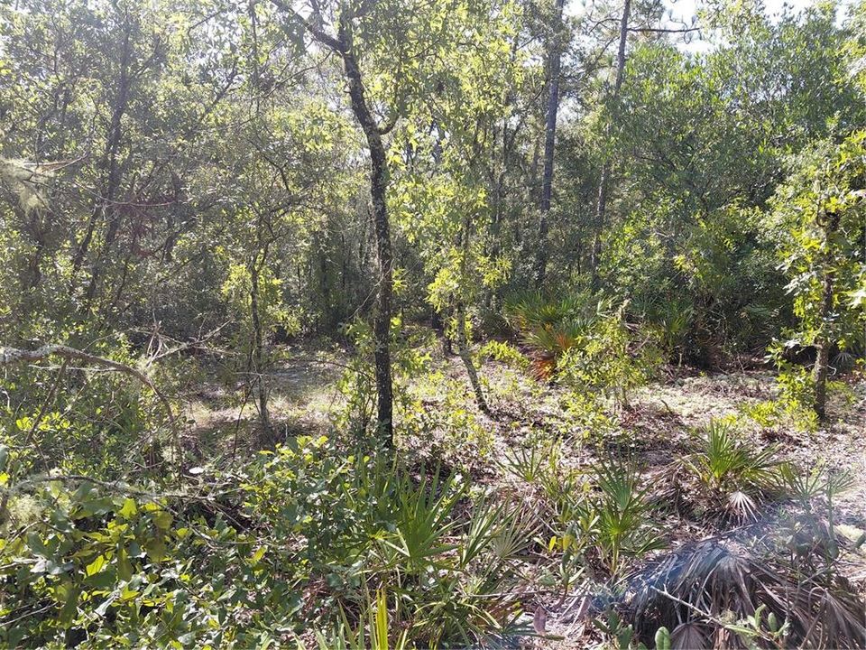 For Sale: $49,000 (1.16 acres)