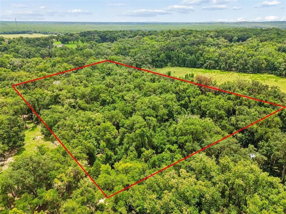 For Sale: $183,750 (5.25 acres)