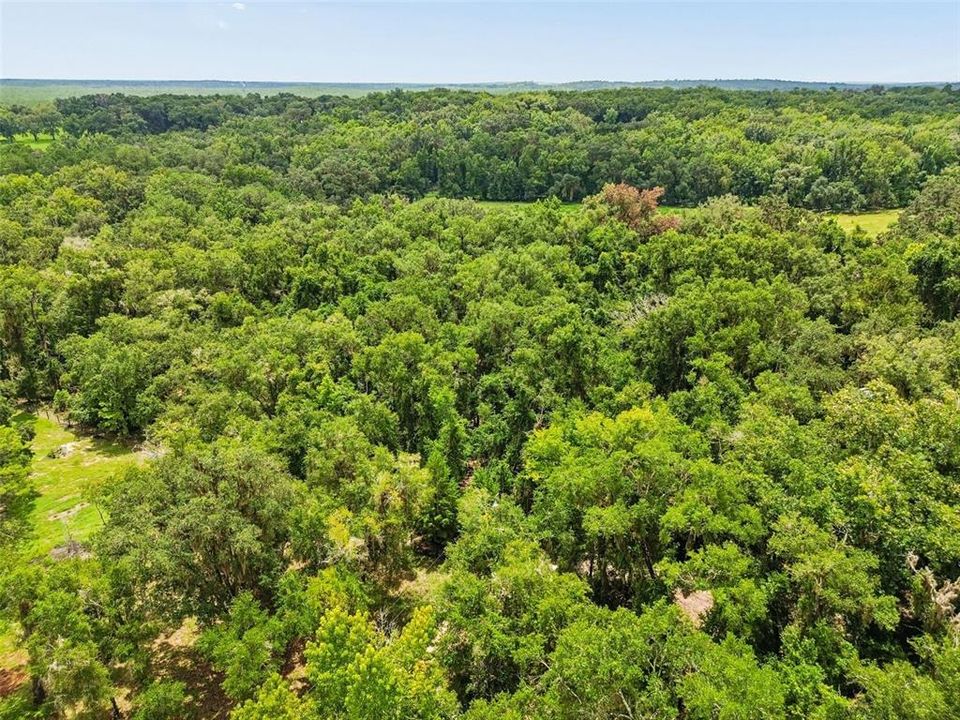 For Sale: $183,750 (5.25 acres)