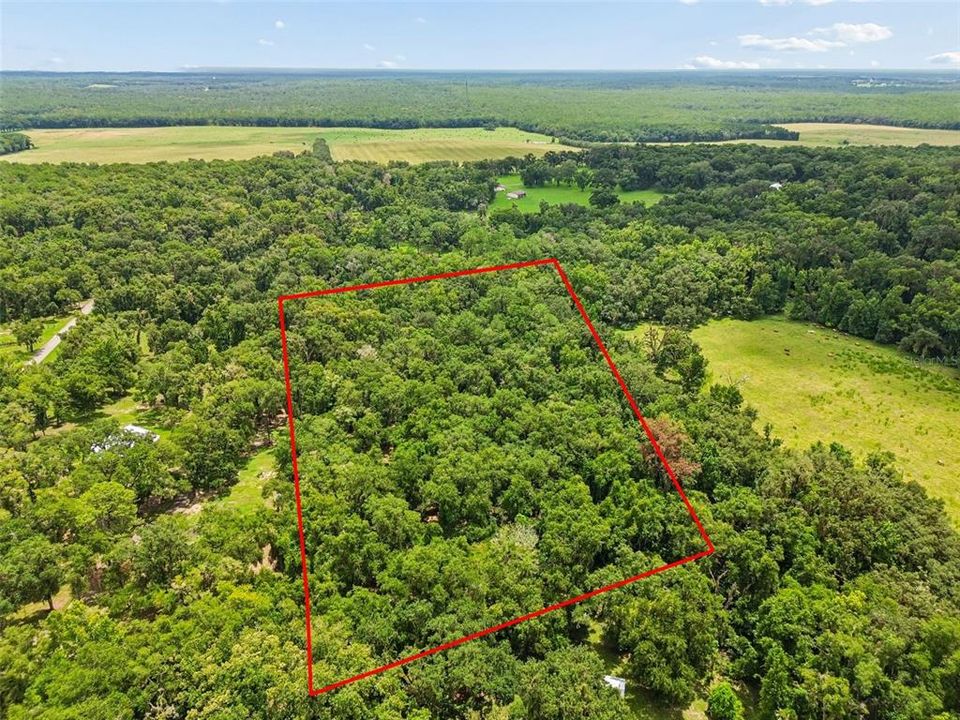For Sale: $183,750 (5.25 acres)