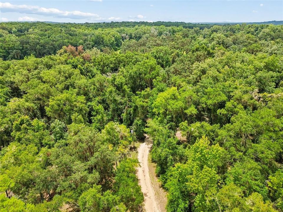 For Sale: $183,750 (5.25 acres)