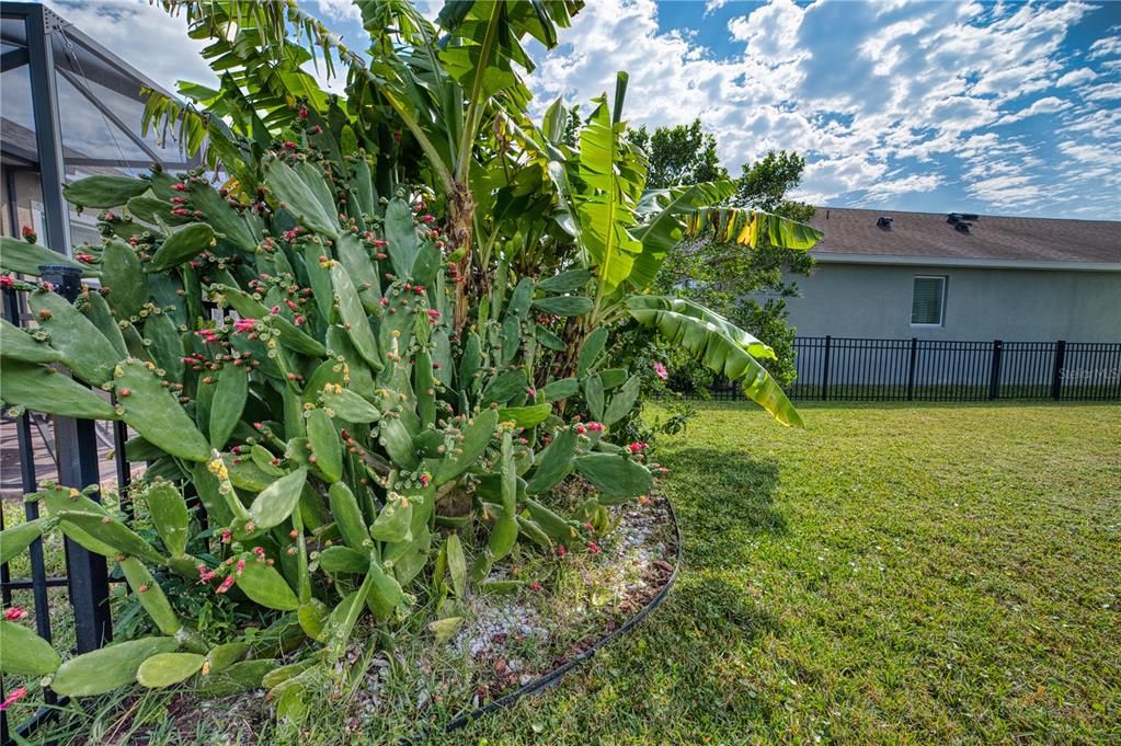 For Sale: $425,000 (3 beds, 2 baths, 2389 Square Feet)