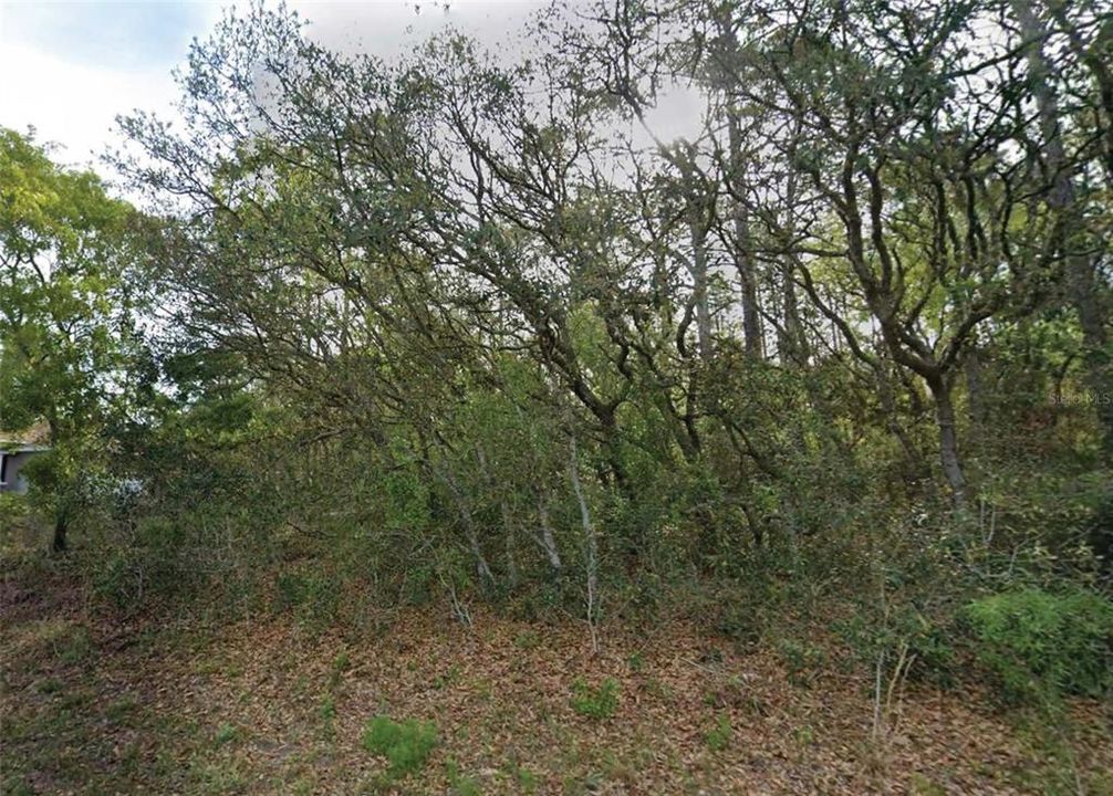 待售: $25,000 (0.23 acres)