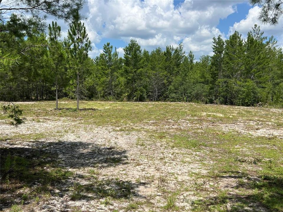 На продажу: $1,000 (9.23 acres)