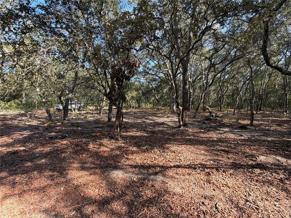 For Sale: $29,900 (1.27 acres)