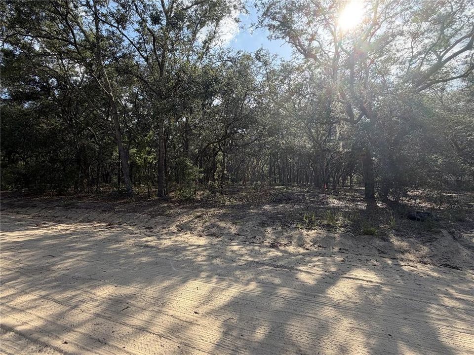 For Sale: $29,900 (1.27 acres)