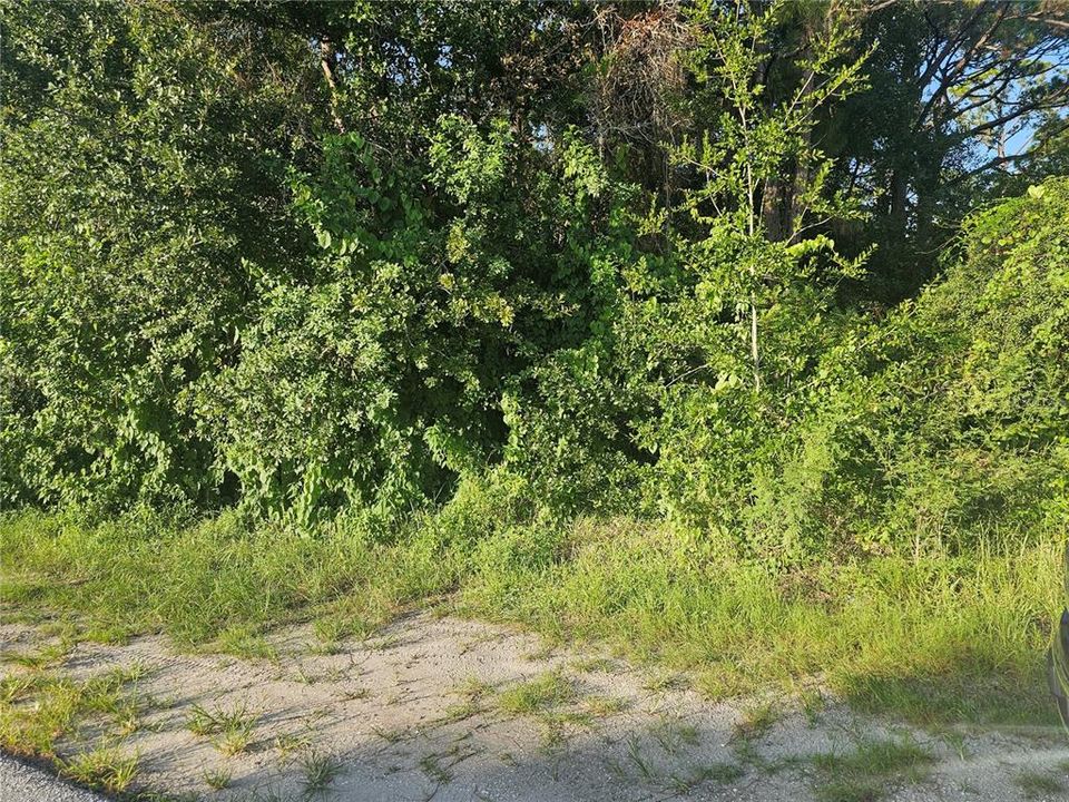 En Venta: $12,999 (0.18 acres)
