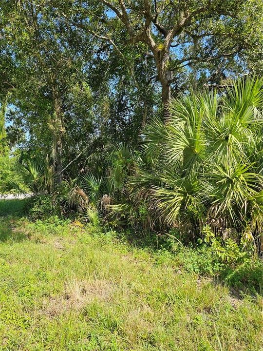 На продажу: $30,000 (0.24 acres)