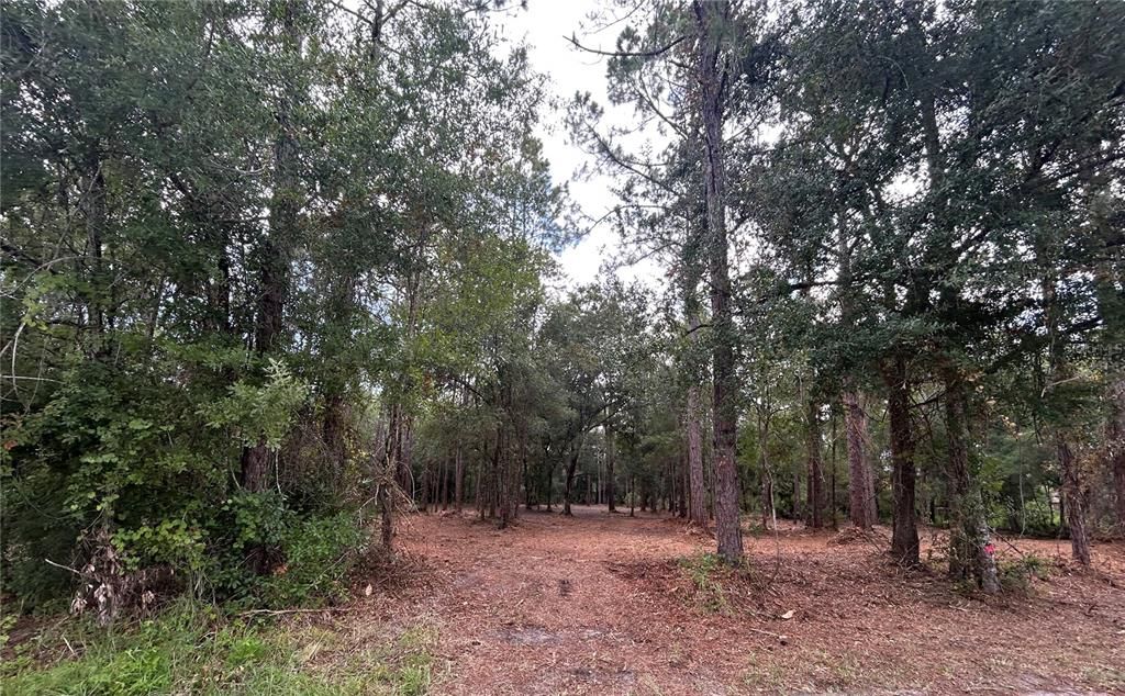 For Sale: $125,000 (2.53 acres)