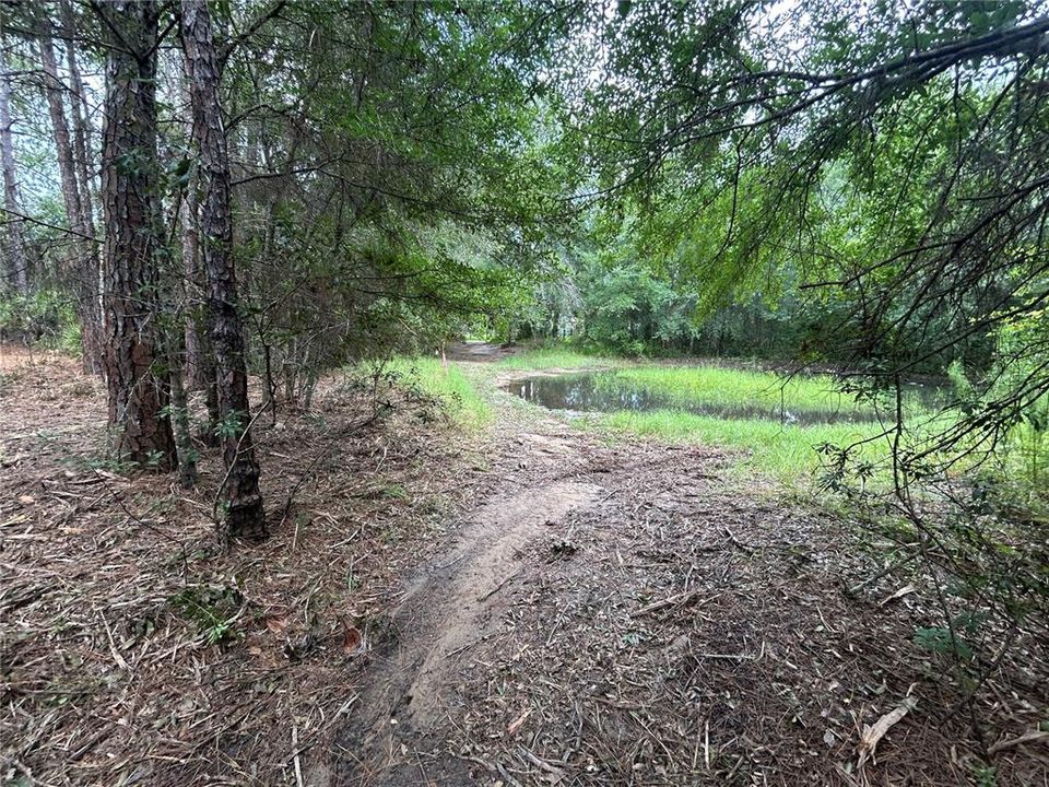 For Sale: $125,000 (2.53 acres)