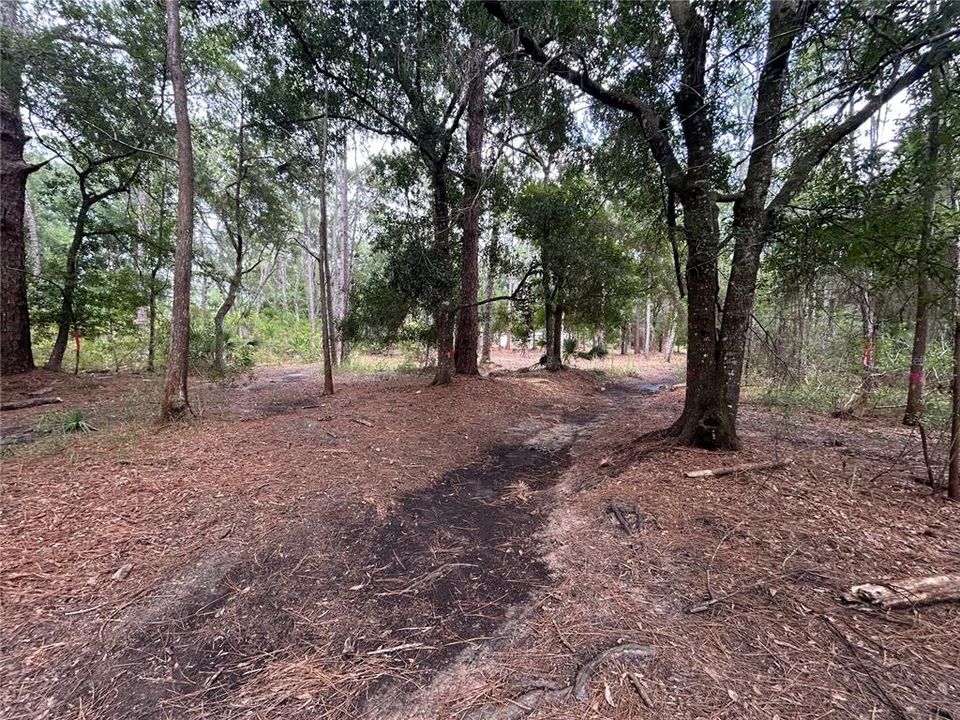 For Sale: $125,000 (2.53 acres)